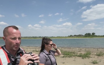 Conservation programs improve outlook of threatened piping plover