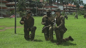 Combined Jungle Operations Training Course Tracking B-roll