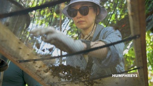 Korean MOIS visits DPAA Mission 25-4PG excavation site