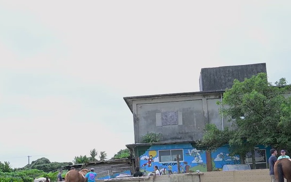 US SOFA members volunteer for Horse Assisted Learning Okinawa