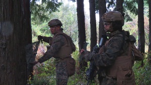 3rd Marine Division - CATC Fuji HIMARS Live-Fire
