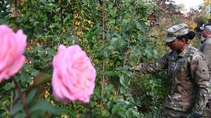 JTF - DC tends to historic Stone House