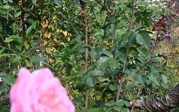 JTF - DC tends to historic Stone House