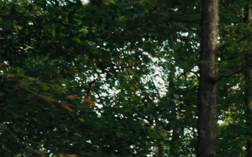 Devil Dogs 250 (vertical)