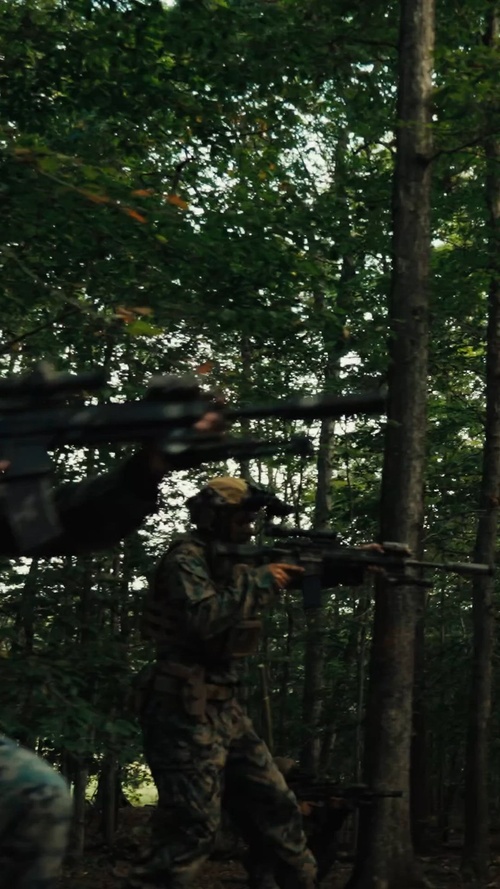 Devil Dogs 250 (vertical)