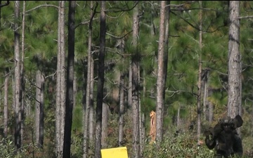 2nd Battalion 8th Marines Live Fire MCCRE