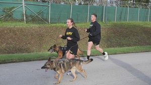B-Roll: Unleashing potential: military working dogs conduct a 5K memorial run