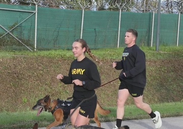 B-Roll: Unleashing potential: military working dogs conduct a 5K memorial run