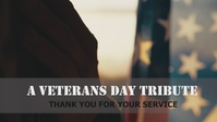 2025 Veterans Day Salute