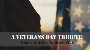 2025 Veterans Day Salute