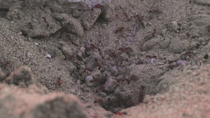 B-Roll: 11th MEU Marines validate communications systems during RUT