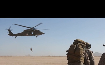 Task Force Forge 250th Marine Corps Birthday Video