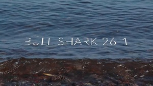 Bull Shark 26-1 Wrap-Up