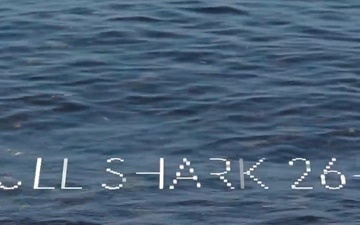 Bull Shark 26-1 Wrap-Up