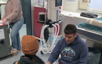 Dental assistants aid in military working dog care b-roll