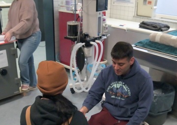 Dental assistants aid in military working dog care b-roll