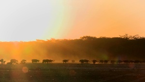 406th Air Expeditionary Wing - The Boss Wing