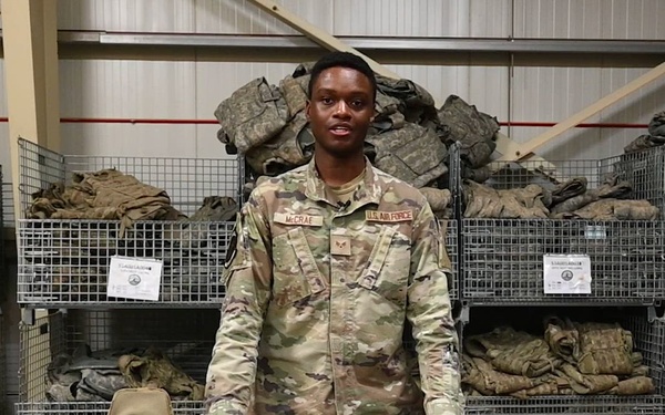 Installing plates in the IBA vest