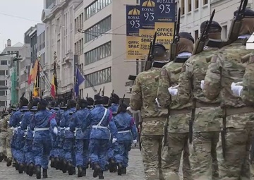 Belgium Celebrates Armistice Day