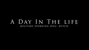 A day in the life: MWD Witch