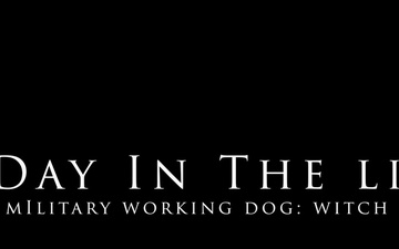 A day in the life: MWD Witch