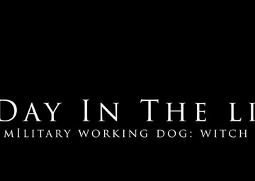 A day in the life: MWD Witch