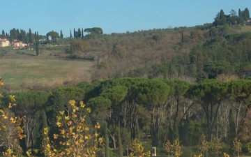Florence American Cemetery host Veteran's Day Ceremony Broll