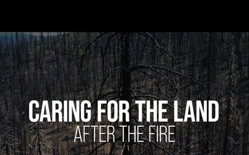 Caring for the land after the fire