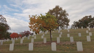 Fall at Arlington National Cemetery 2025 B-Roll Package