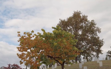 Fall at Arlington National Cemetery 2025 B-Roll Package