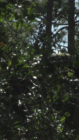 2nd Battalion, 8th Marines MCCRE