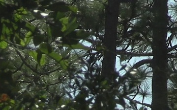 2nd Battalion, 8th Marines MCCRE