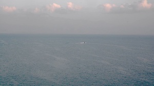 BULL SHARK 26-1 BIR B-Roll