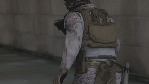 Reconnaissance Year in Review Video