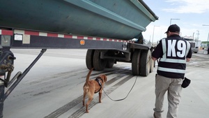 Denver K9 Screening