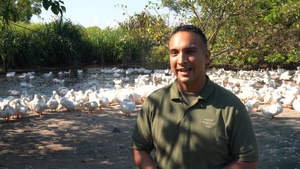 Pacific Friendship 2025: Duck Farm A and B Roll