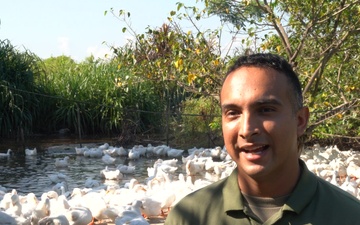 Pacific Friendship 2025: Duck Farm A and B Roll