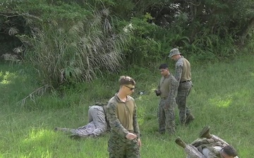 V1/6 | Live-Fire Range