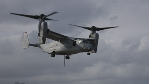 VMM-363 and 3d MLR rehearse hoist operations