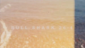 Exercise Bull Shark 26-1