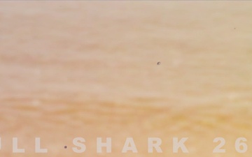 Exercise Bull Shark 26-1