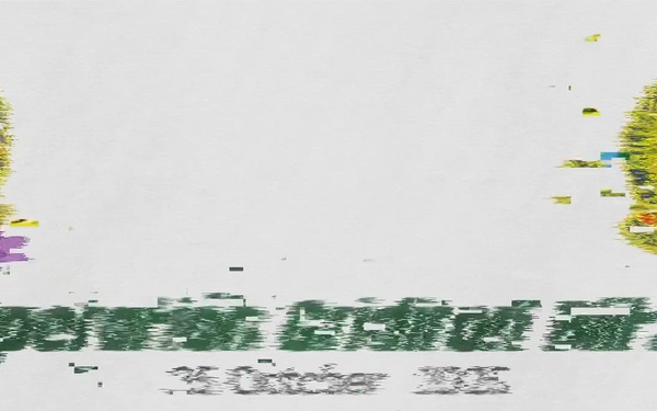 Oath of Enlistment at Vanderbilt University Football Game