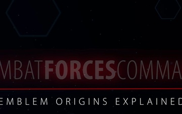 Combat Forces Command Emblem Explained
