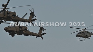 U.S. Airpower on Display at the Dubai Airshow 2025