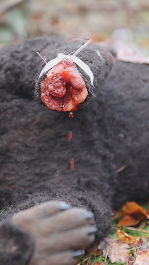 30th Medical Brigade Best of the Best Competition Day 4