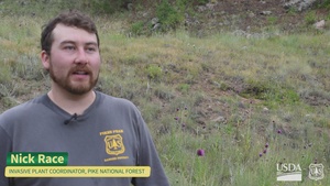 Lost Creek Wilderness Invasive Weeds Spraying