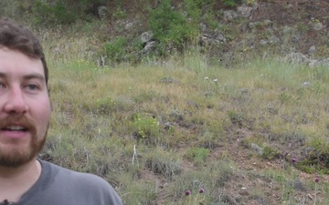 Lost Creek Wilderness Invasive Weeds Spraying