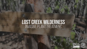Wilderness Invasive Weed Treatment Project
