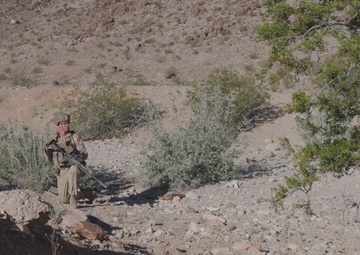 B-Roll: Marines with 3rd Bn., 7th Marines patrol during Range 400