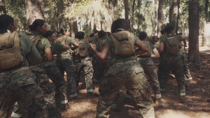 Above, Below, and Beyond: Forged